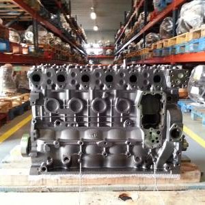 MOTOR TECTOR IVECO F4AE0681 MOTOR TECTOR IVECO F4AE0681